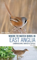 Where to Watch Birds in East Anglia: