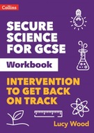Secure Science for GCSE Workbook: Intervention to