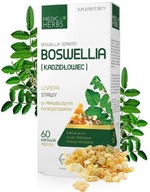 BOSWELLIA Boswelia serrata Medica Herbs 60k Stawy