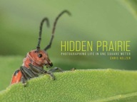 Hidden Prairie: Photographing Life in One Meter
