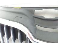 grille grid grill SKODA RAPID 12