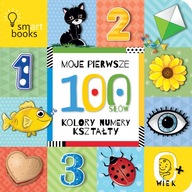 Moje Pierwsze 100 Słów 0+ Kolory, numery, kształty