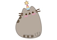 VANKÚŠOVÁ PODLOŽKA MAČKA PUSHEEN