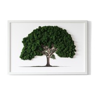 Obraz s machom darček Strom na bielom pozadí 60x40