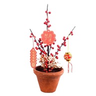 Umelý črepníkový bonsai čínsky červený hrniec