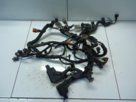 OPEL INSIGNIA 2.0CDTI A20 bundle motor wiring 22744339