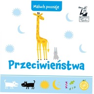 Przeciwieństwa. Maluch poznaje. Kapitan Nauka