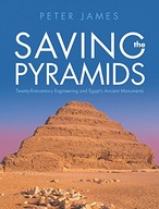 Saving the Pyramids: Twenty First Century