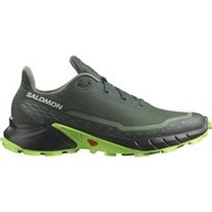 Buty Salomon Alphacross 5 473117