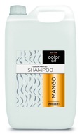 PROSALON PROFESSIONAL Basic Care Color Art Šampón na vlasy na ochranu kolo