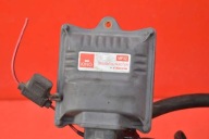 Complète Câblage Gaz 10R-036333 ALISEI