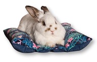 Kraina Tuptusia HOT-DOG poduszka dla królika