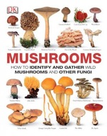 Mushrooms Thomas Laessoe