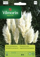 Pampová tráva semená Vilmorin