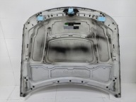 Capot BMW 3 E90/E91 E91 2007 2122615