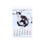 Nástenný kalendár s mačkami 2024 ROK