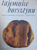 Tajemnice bursztynu - Barbara Kosmowska-Ceranowicz