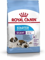 ROYAL CANIN SHN Giant Starter Mother&Babydog - suché krmivo pre šteňa