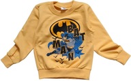 BATMAN bajkowa BLUZA kolory 110