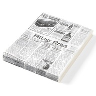 Pergamenový papier na teplé občerstvenie potlač novín 200x250mm 500ks He