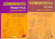 Psychoterapia Praktyka+ Teoria podręcznik Grzesiuk