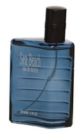 REAL TIME SEA BEACH EDT 100ml