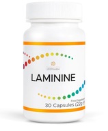 Laminine LAMININA ORIGINÁL LifePharm USA 30 kaps