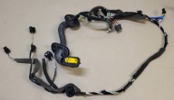 bundle wiring Z door right front RENAULT LAGUNA III 3 OE EUROPA