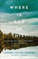Where Is God in This? - Looking for God`s