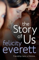 The Story of Us Everett Felicity