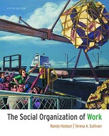The Social Organization of Work Hodson Randy