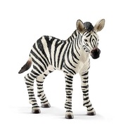 14811 SCHLEICH ZEBRA ŹREBIĘ FIGURKA