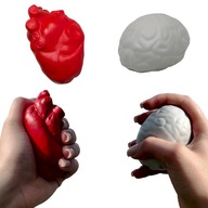Sada hniloby Anatomické Srdce a Mozog Antistresové