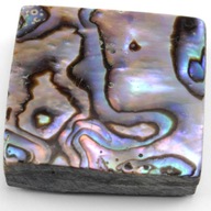 Paua Abalone kabošon cca 25x24 mm PERL0266