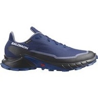 Buty Salomon Alphacross 5 GTX 473092