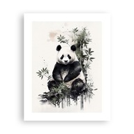 Obraz Plagát na stenu bez rámu 40x50 Panda Foto Plagáty do obývačky Spálňa