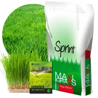 TRAWA UNIWERSALNA NASIONA 5 kg MaxiGrass SPRINT Odporna na deptanie