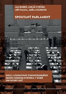 Spoutaný parlament - Role a fungování... Jan Bureš