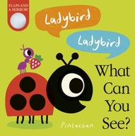 Ladybird! Ladybird! What Can You See? Hepworth