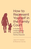 How To Represent Yourself in the Family Court: A