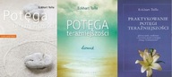 Potęga teraźniejszości + Praktykowanie Tolle