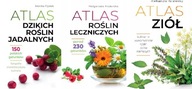 Atlas dzikich roślin + Atlas roślin leczniczych + Atlas ziół