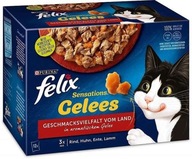 Felix Sensations saszetki dla kota w GALARETCE mix smaków MIĘSNYCH 24x85g