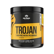 NOWY FireSnake TROJAN 300g 7 KREATYN CLOUT STACK OROTAN STAK KREATYNOWY