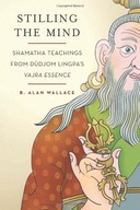 Stilling the Mind: Shamatha Teachings from Dudjom