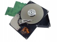 USZKODZONY DYSK TWARDY 1TB SEAGATE ST1000DM003 64MB 7200RPM 3.5" SATA III