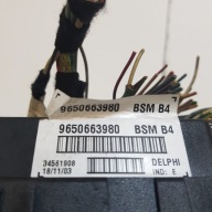 Module BSM PEUGEOT 307 9650663980