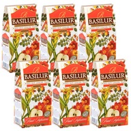 BASILUR Red Hot Ginger- Susz owocowy, napar owocowy z imbirem, 100 g x6