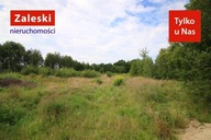 Działka, Warzenko, Przodkowo (gm.), 1039 m²