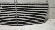 Grill Grill Mercedes w124